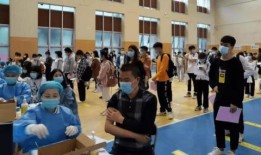 鼓龙最新爆料消息,最新爆料带你探秘娱乐圈风云变幻